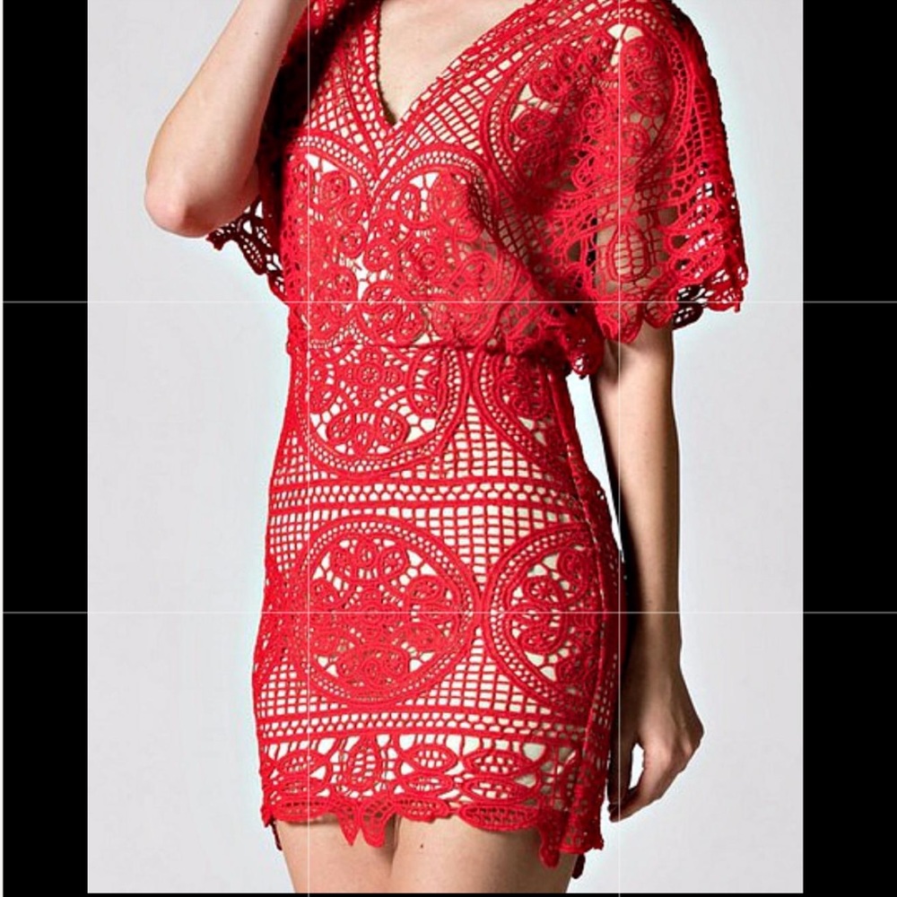 Soibleu Scarlet Lace Mini Dress